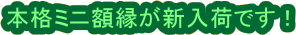 �{�i�~�j�z�����V���ׂł��I