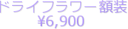 �h���C�t�����[�z��
\6,900