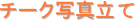 �`�[�N�ʐ^����