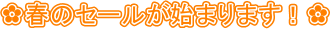 ?�t�̃Z�[�����n�܂�܂��I?